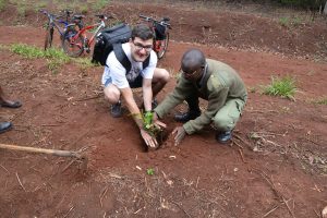 Karura Forest, an urban forest located in Nairobi, is a serene escape for expats seeking tranquility and natural beauty. 