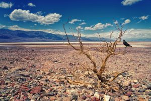 What Areas In France Are Affected By Drought