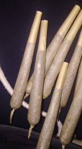 What Is The Penalty For Possession Of Bhang In Kenya