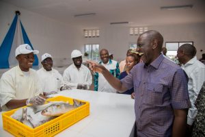 President William Ruto Approach Warehouse Receipt System In Kenya