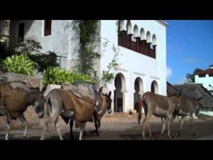 What Is Lamu Kenya Famous For