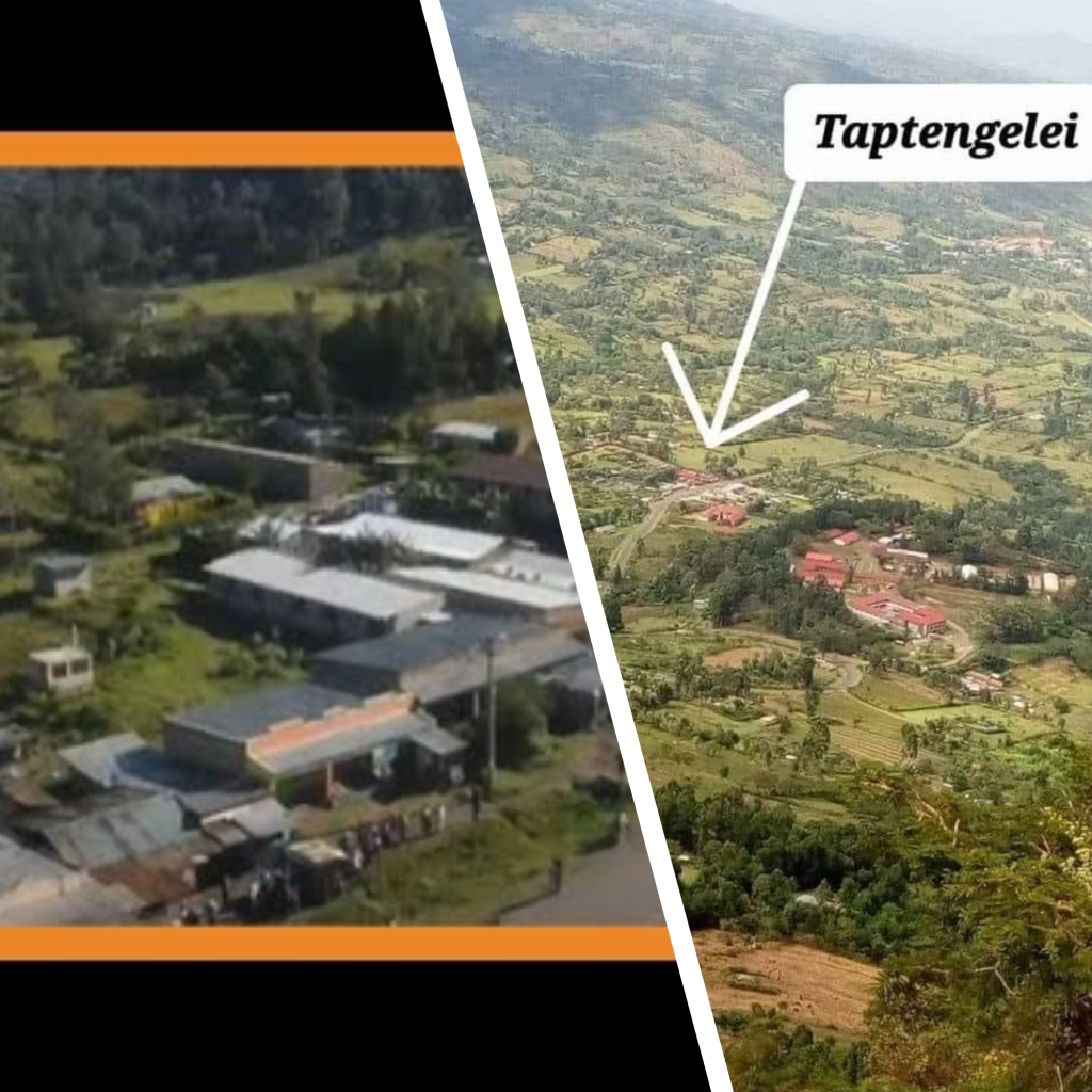 What Is Taptengelei Spoonyo