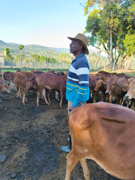 Ruto Kilgoris Home: A New Centre Of Power in Narok County - Spoonyo