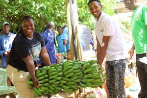 Best Valuable Ideas on Sustainable Farming Practices That Grow Biointensive Agriculture Center of Kenya With Shares With Local Farmers