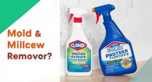 Does Clorox Mold And Mildew Remover Work?