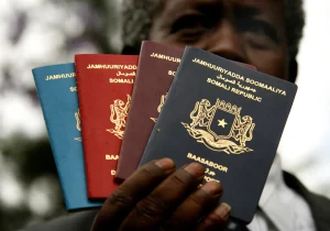 What Is Passport Index In Somalia?