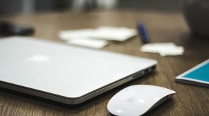 Best Mouse For 305 Pro Players