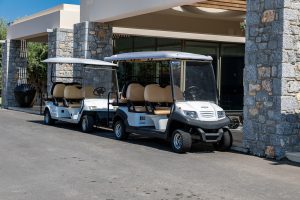 Best Lithium Ion Battery For Golf Cart 
